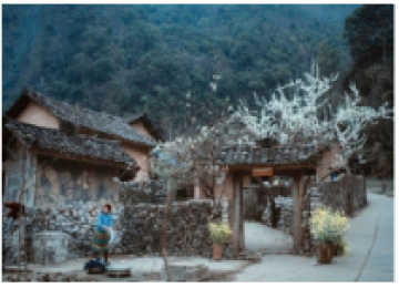 VÒNG CUNG ĐÔNG BẮC